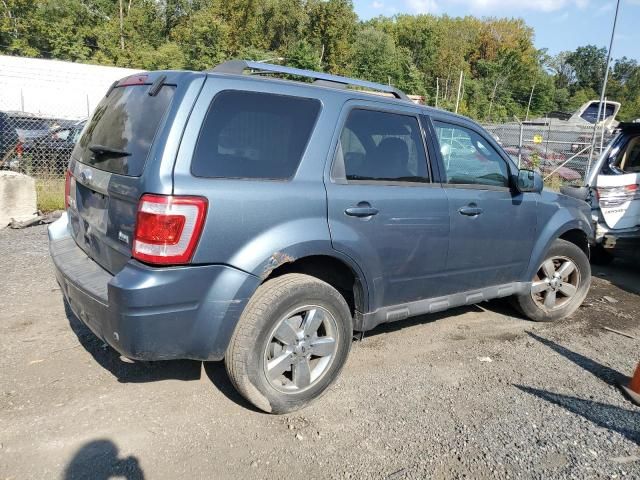 2010 Ford Escape Limited