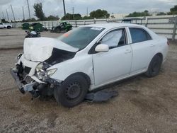 Salvage cars for sale at Miami, FL auction: 2009 Toyota Corolla Base