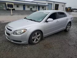 Chevrolet salvage cars for sale: 2012 Chevrolet Malibu 1LT