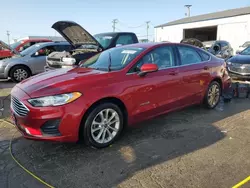 Salvage cars for sale at Chicago Heights, IL auction: 2019 Ford Fusion SE