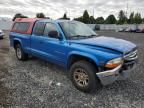 1998 Dodge Dakota