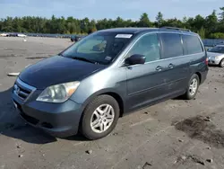 Honda salvage cars for sale: 2005 Honda Odyssey EXL