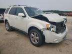 2010 Ford Escape Limited