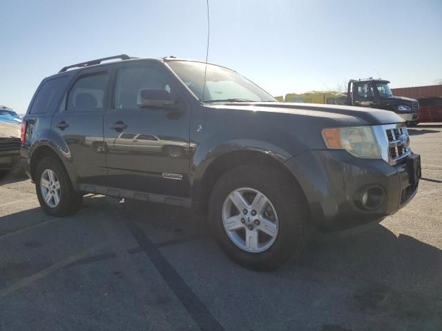 2008 Ford Escape HEV