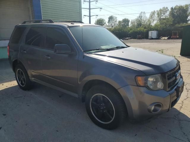 2011 Ford Escape XLT