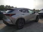 2022 Lexus NX 250