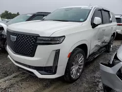 Salvage cars for sale at Windsor, NJ auction: 2021 Cadillac Escalade Premium Luxury