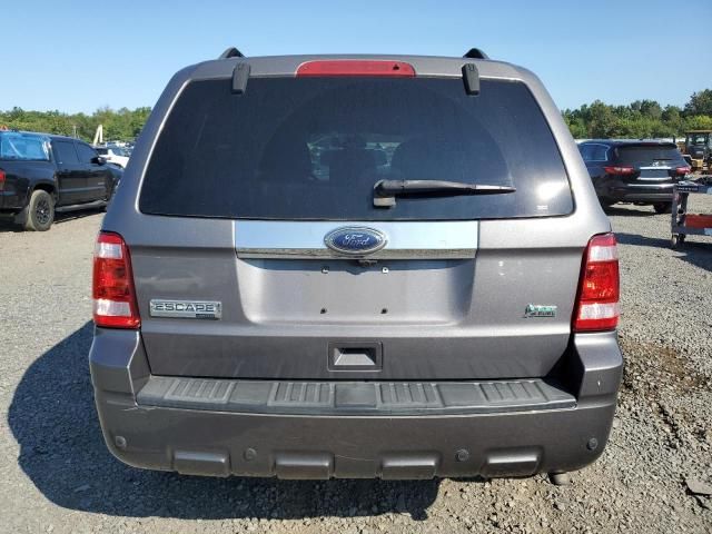 2010 Ford Escape Limited