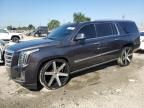 2016 Cadillac Escalade ESV Platinum