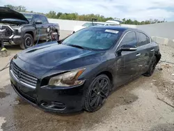 Salvage cars for sale at Louisville, KY auction: 2011 Nissan Maxima S