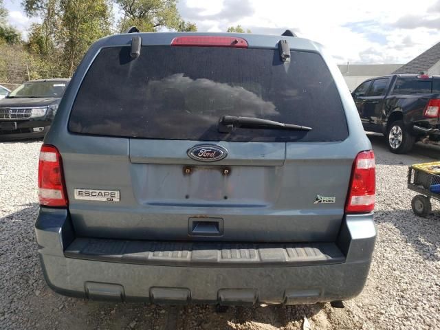 2010 Ford Escape XLT