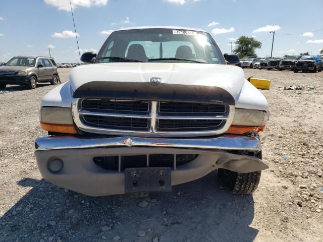 2000 Dodge Dakota