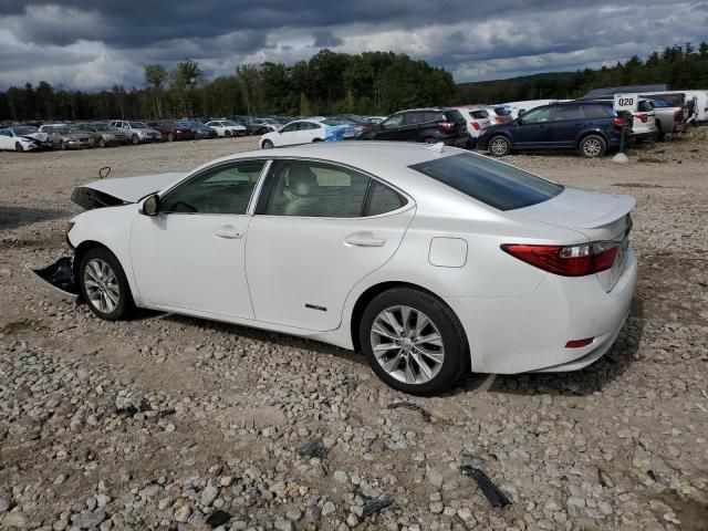 2013 Lexus ES 300H