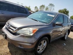 Salvage cars for sale at Elgin, IL auction: 2011 Honda CR-V EXL