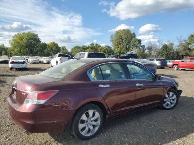 2008 Honda Accord EXL