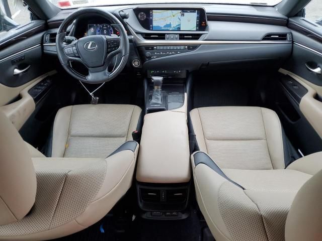 2019 Lexus ES 350