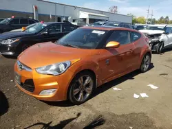 Salvage cars for sale at New Britain, CT auction: 2013 Hyundai Veloster