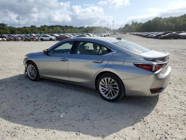 2019 Lexus ES 300H