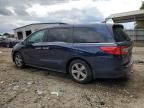 2019 Honda Odyssey EXL