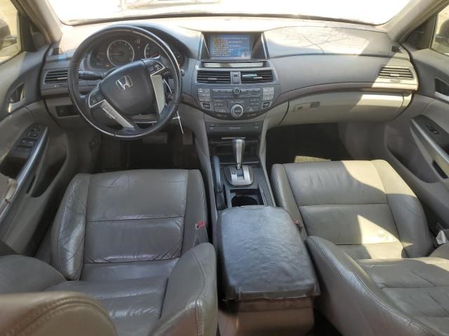 2009 Honda Accord EXL