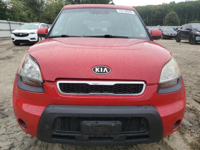 2011 KIA Soul +