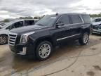 2018 Cadillac Escalade