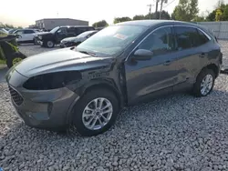 Salvage cars for sale at Wayland, MI auction: 2020 Ford Escape SE