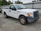 2009 Ford F150