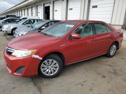 Vehiculos salvage en venta de Copart Louisville, KY: 2012 Toyota Camry Hybrid