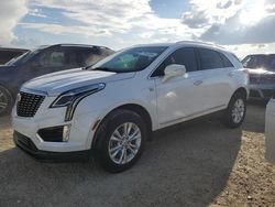 Salvage cars for sale at Arcadia, FL auction: 2023 Cadillac XT5 Luxury