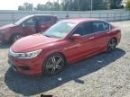 2017 Honda Accord Sport Special Edition