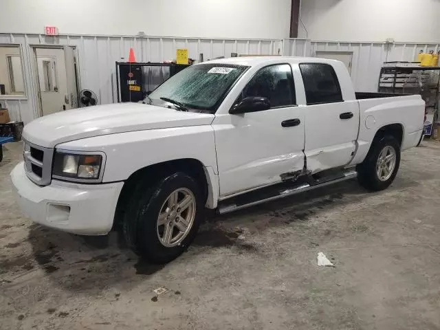 2008 Dodge Dakota SXT