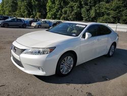 Salvage cars for sale at Glassboro, NJ auction: 2013 Lexus ES 350