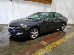 Chevrolet salvage cars for sale: 2023 Chevrolet Malibu LS