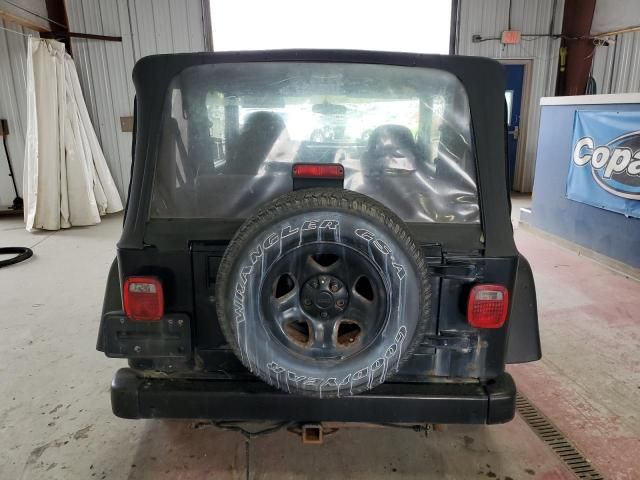 2002 Jeep Wrangler / TJ SE