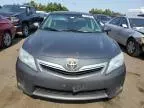 2010 Toyota Camry Hybrid