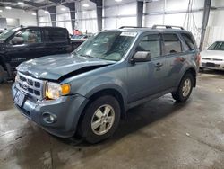 Salvage cars for sale at Ham Lake, MN auction: 2012 Ford Escape XLT