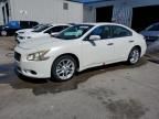 2011 Nissan Maxima S