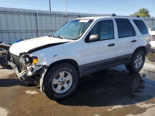 2005 Ford Escape XLT