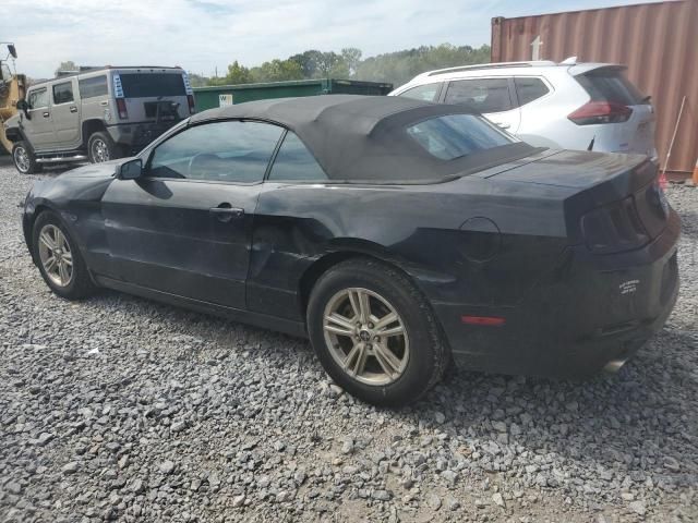 2013 Ford Mustang