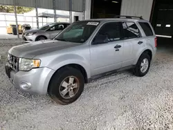 Ford Vehiculos salvage en venta: 2012 Ford Escape XLT