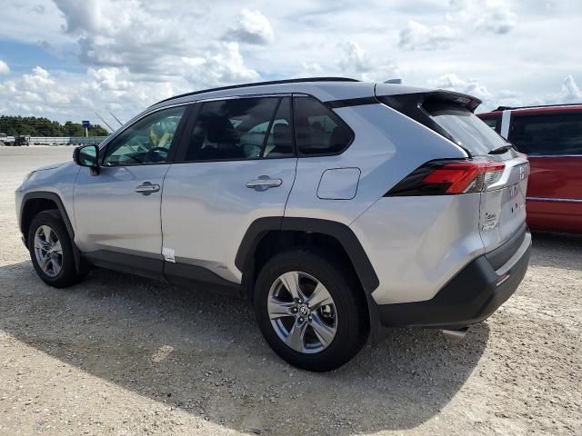 2024 Toyota Rav4 LE