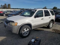 Salvage cars for sale at Arlington, WA auction: 2001 Ford Escape XLT