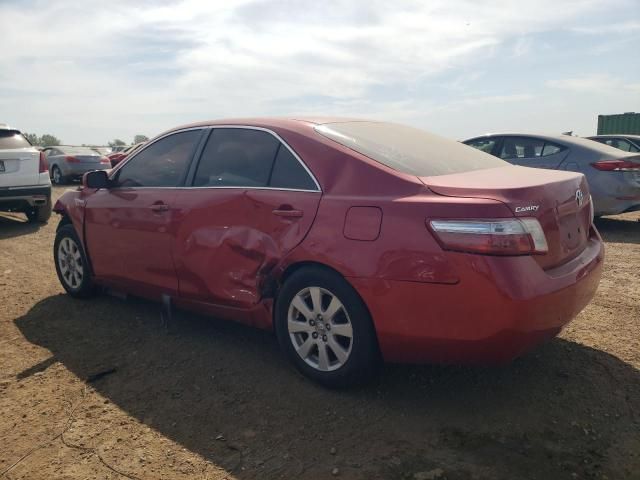 2007 Toyota Camry Hybrid