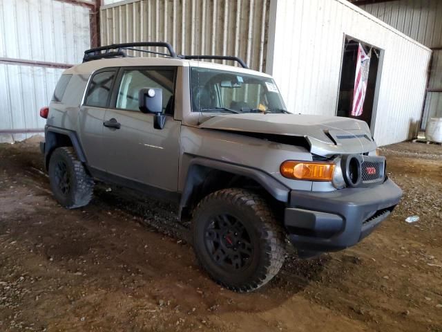 2011 Toyota FJ Cruiser