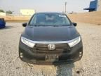 2022 Honda Odyssey EXL