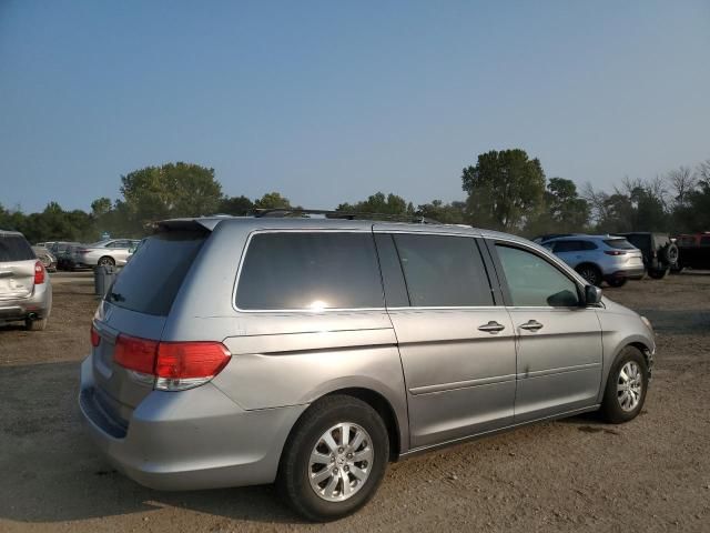 2010 Honda Odyssey EXL