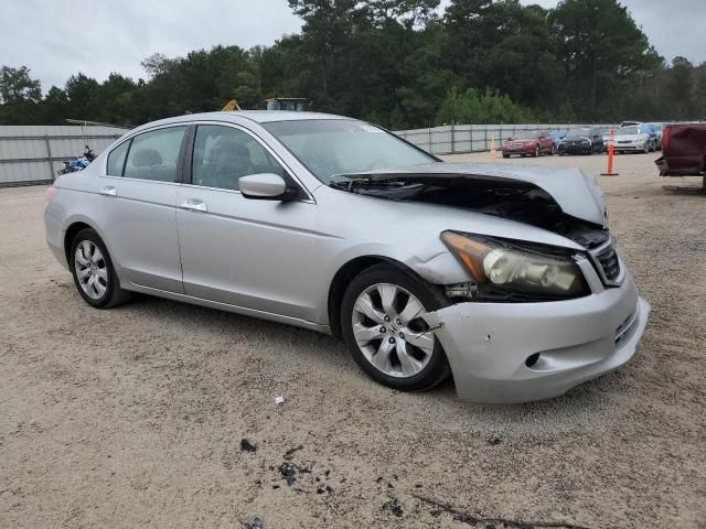 2009 Honda Accord EXL