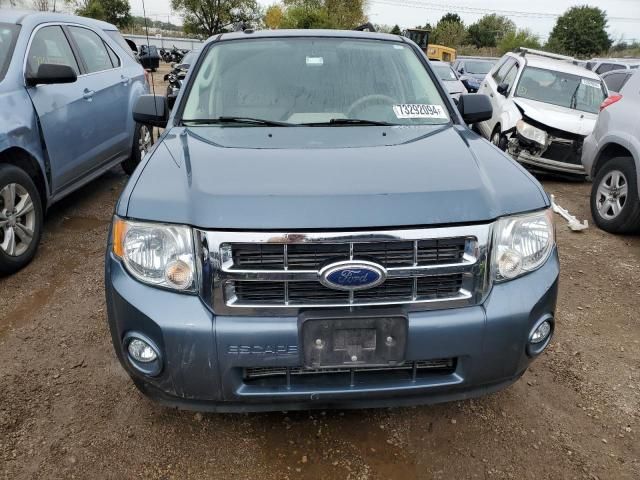 2010 Ford Escape XLT