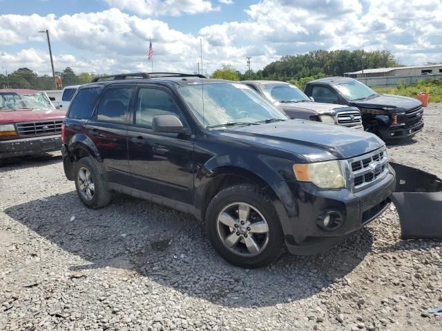 2009 Ford Escape XLT